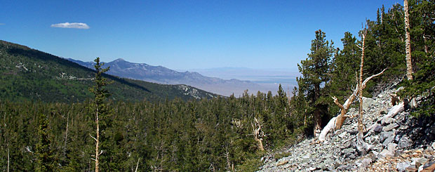 Great Basin National Park, Nevada - Credit: Travel Nevada