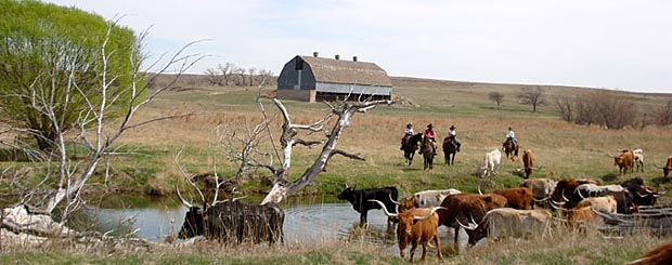 Moore Ranch, Kansas - Credit: Moore Ranch