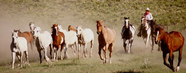 Zapata Ranch, Colorado - Credit: Grace Phillips