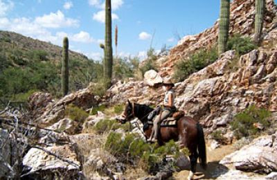 Ranches/Arizona/Arizona Trail/Reiterin im Gebirge