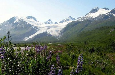 Ruby Range Adventure/The Yukon Alaska Explorer/Worthington Glacier