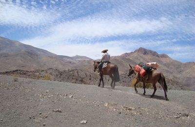 Chile/Hacienda Los Andes/Condor Trail/3