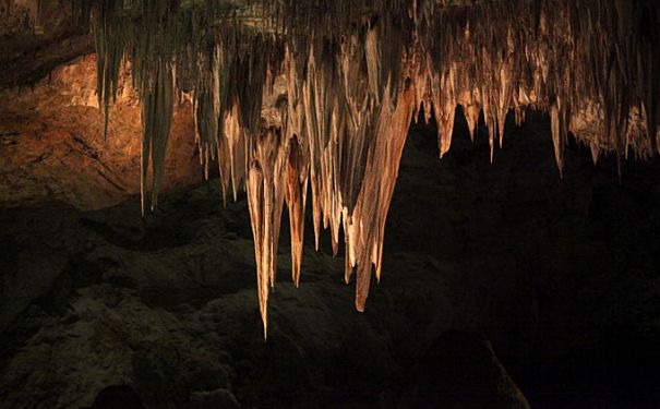 NM/Carlsbad Caverns/Höhle