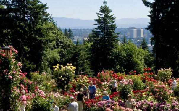 OR/Portland/Rose Garden