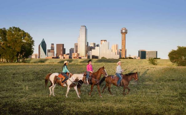 TX/Dallas/Skyline