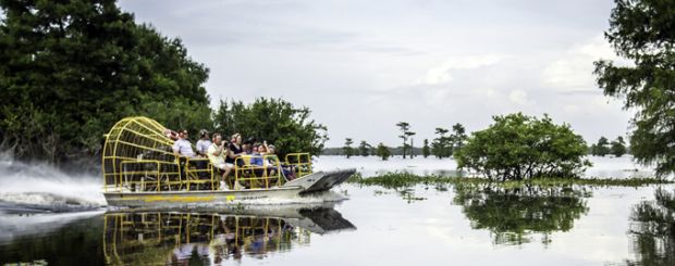 Swamp Tour in New Orleans, Louisiana