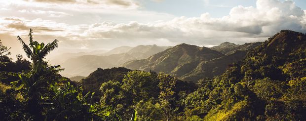 Regenwald, Utuado, Puerto Rico - Credit: Discover Puerto Rico