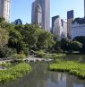 Central Park, New York City, New York - Credit: NYC & Company