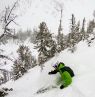 Tree Skiing, Kicking Horse, British Columbia - Credit: Kicking Horse Mountain Resort