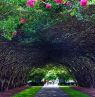 Arboretum, Dallas, Texas - Credit: DCVB