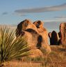 City of Rocks State Park, New Mexico - Credit: New Mexico Tourism Department