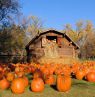 Papa's Pumpkin Patch, Bismarck, North Dakota - Credit: Bismarck-Mandan Convention & Visitors Bureau