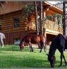 Beaver Guest Ranch, British Columbia - Credit: Beaver Guest Ranch
