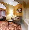 Best Western PLUS Bradenton Hotel & Suites, Florida - Credit: Best Western International, Inc.