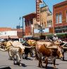Cattle Drive, Elk City, Oklahoma - Credit: Lori Duckworth/Oklahoma Tourism