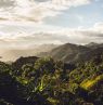 Regenwald, Utuado, Puerto Rico - Credit: Discover Puerto Rico