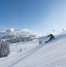 Skier, Sunshine Village, Banff, Alberta - Credit: Reuben Krabbe & Ski Big 3