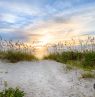 Smyrna Dunes Park, New Smyrna Beach, Florida - Credit: Mike Ring, Ring Gallery, New Smyrna Beach