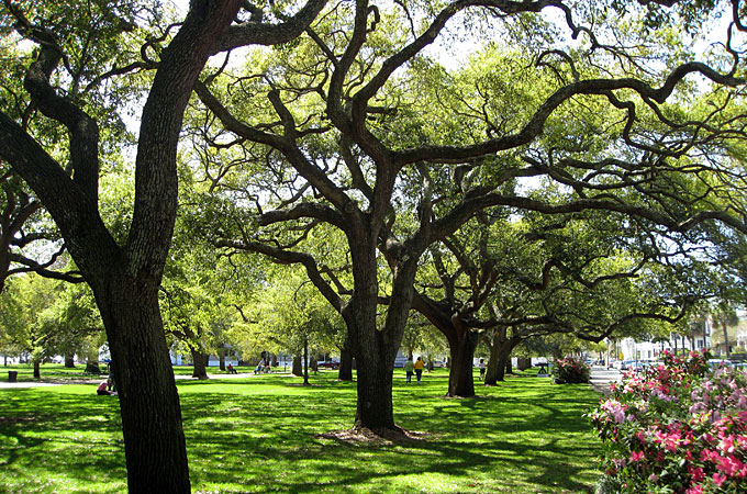 White Point Garden, Charleston, South Carolina - Credit: Public Information Office