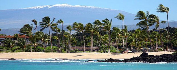 HI/Hawaiis Big Island/Allgemein/Küste Palmen Titel