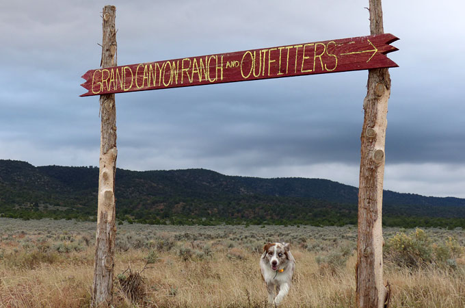 Grand Canyon Ranch & Outfitters, Arizona - Credit: Julia Kruse