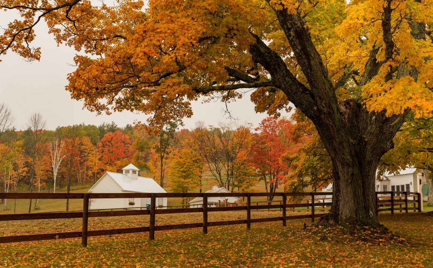 General, Vermont - Credit: Discover New England/ Brand USA