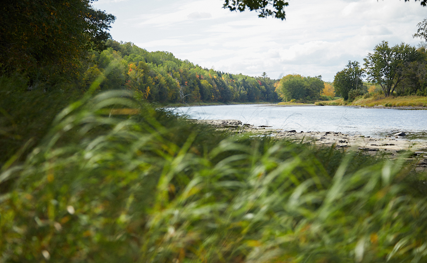Miramichi River - Credit: Hemmings House, New Brunswick Tourism