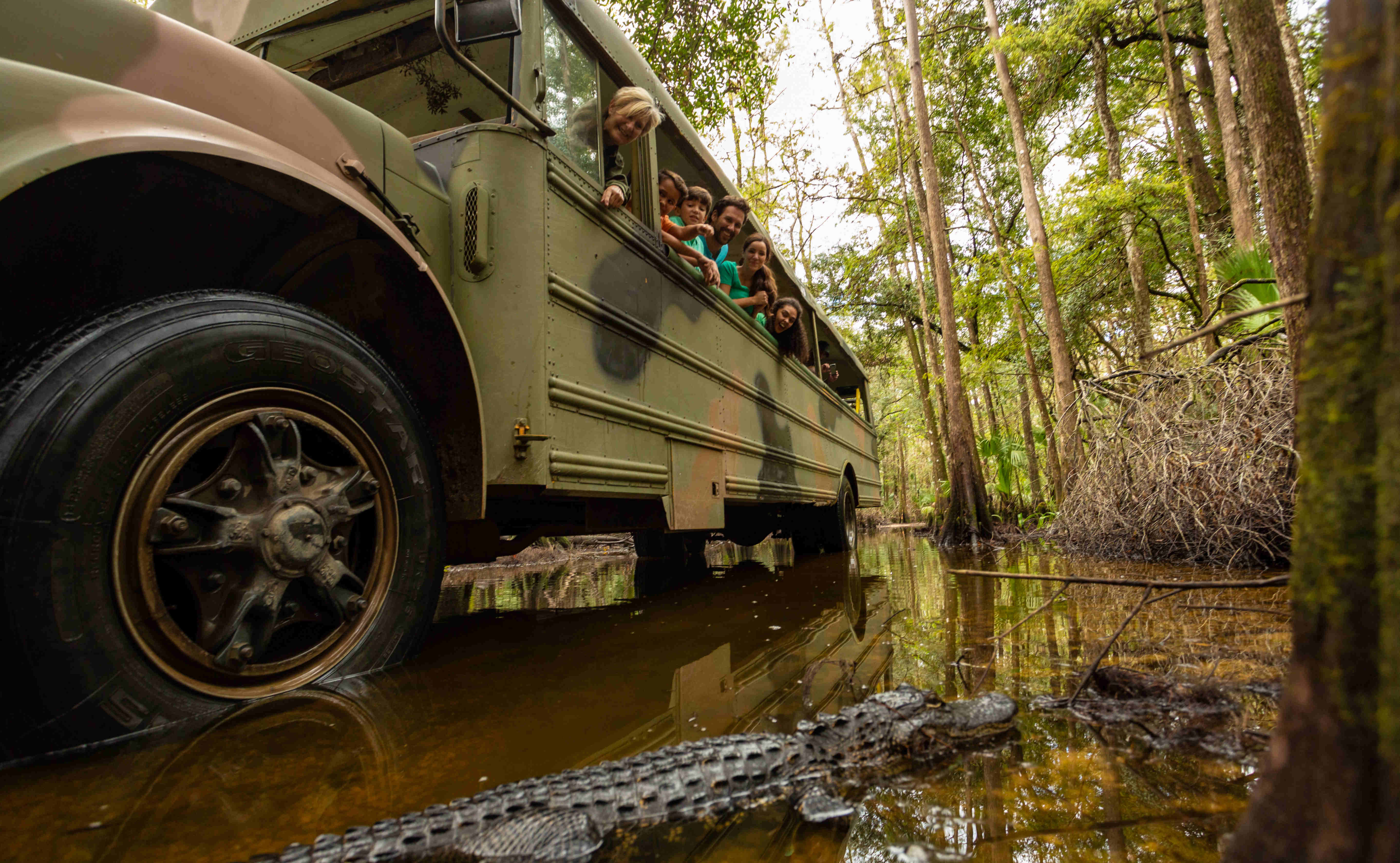 Babcock Eco Tours, Punta Gorda - Credit: Punta Gorda  Englewood Beach Visitor & Convention Bureau