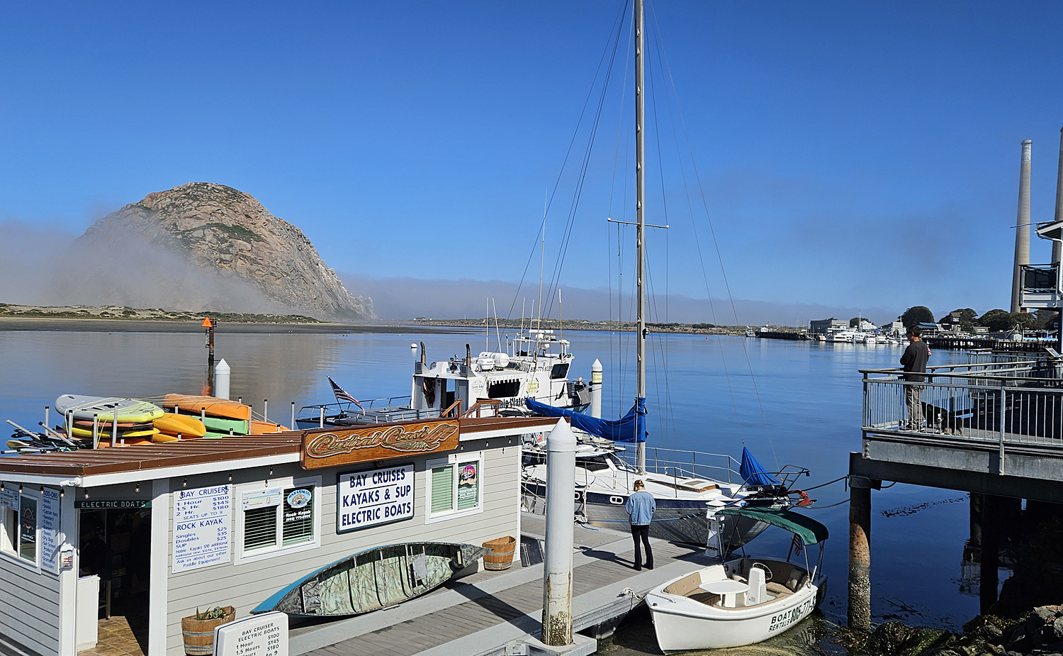 Morgennebel in der Bucht mit Morro Rock - Credit D. BüttnerVisit California