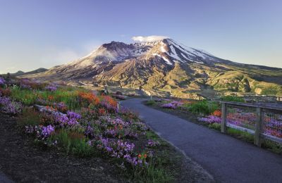 WA/Mt. St. Helens/Beauty Shot
