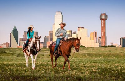 TX/Dallas/Texas Horse Park