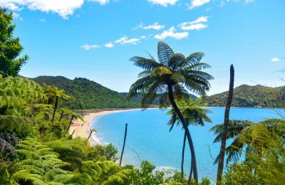 NZ/Kiwi Tours/Strand