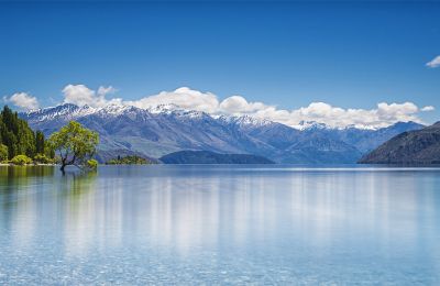 NZ/Kiwi Tours/See