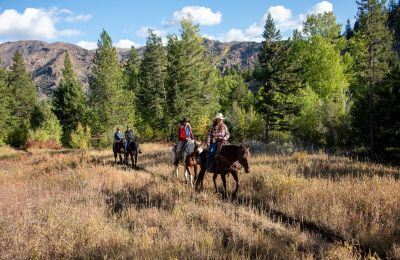 WY/Blackwater Creek Lodge & Guest Ranch/Ritt auf Feld