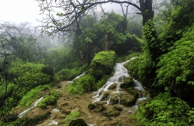OMN/Salalah/Khareef Season