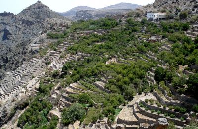 OMN/Hajar-Gebirge/Jebel Al Akdar