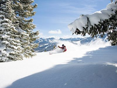 CO/Beaver Creek/Affleck-powder-340