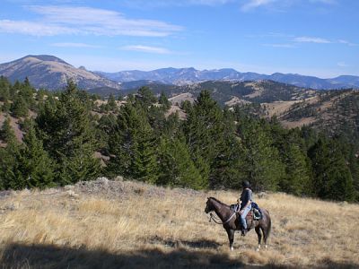 MT/Rocking Z Ranch/Weitblick mit Reiter