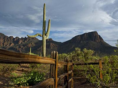 AZ/White Stallion Ranch/Weitblick 340