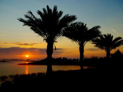 FL/Bradenton/Lakewood Ranch/Sunset
