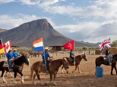 AZ/White Stallion Ranch/Rodeo Flags neu 680