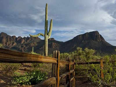 AZ/White Stallion Ranch/Landschaft