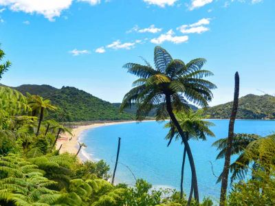 NZ/Kiwi Tours/Strand