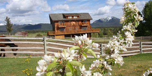 BC/Echo Valley Guest Ranch/Blume vor Lodge