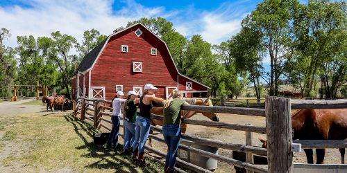MT/Circle Bar Guest Ranch/Rote Scheune