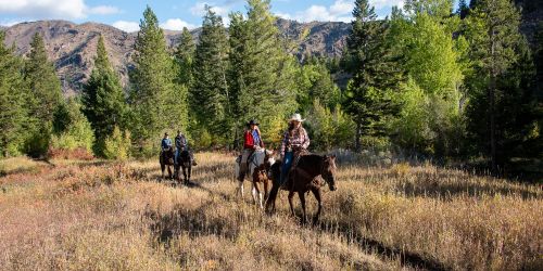 WY/Blackwater Creek Lodge & Guest Ranch/Ritt auf Feld