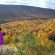 NS/North Mountain Cabot Trail
