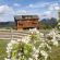 BC/Echo Valley Guest Ranch/Blume vor Lodge