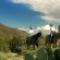 AZ/Tucson/Allg Bilder/Horseback