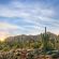 AZ/Scottsdale/McDowell Sonoran Preserve/Sonnenaufgang